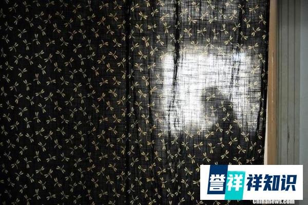 中国新观察｜中国一人户数量超1.25亿！独居者为何越来越多？