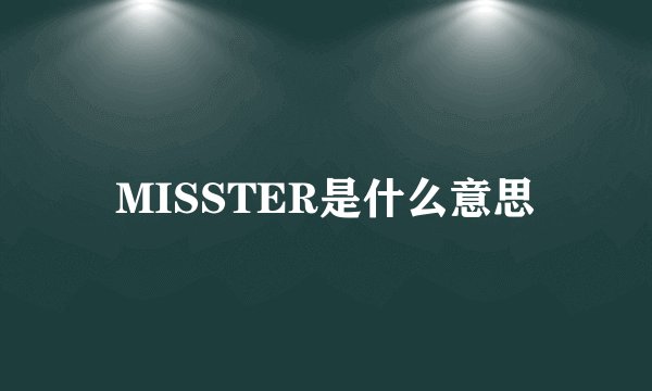 MISSTER是什么意思