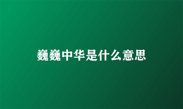 巍巍中华是什么意思