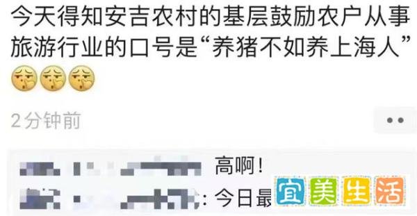 养猪不如养上海人传遍旅游圈？媒体：别胡说了，没这话