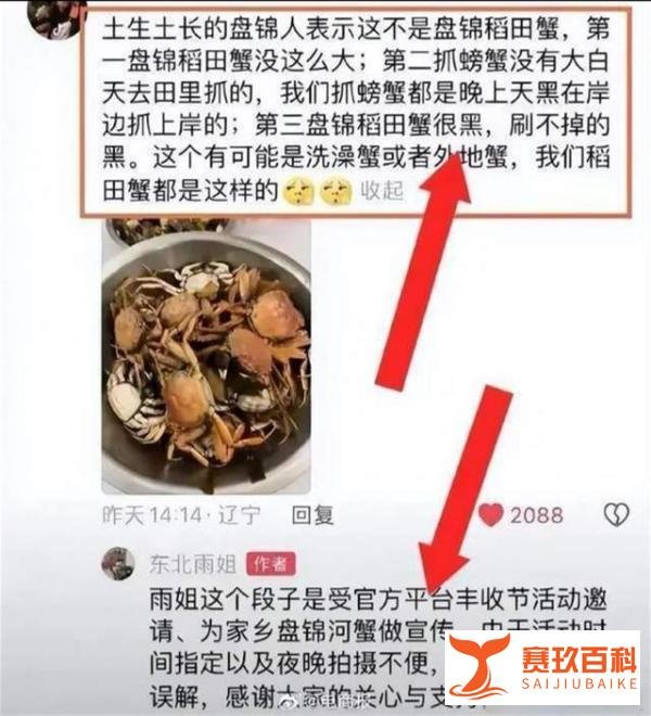 东北雨姐造假风波后直播带货榜第1