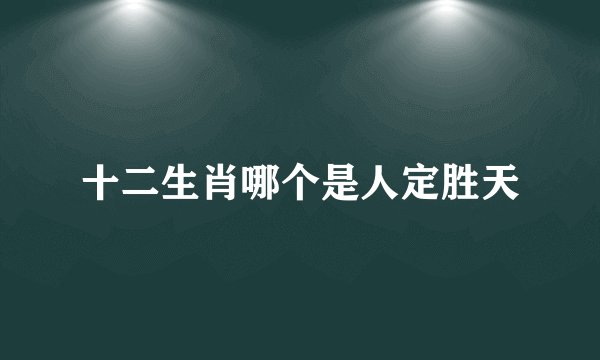 十二生肖哪个是人定胜天