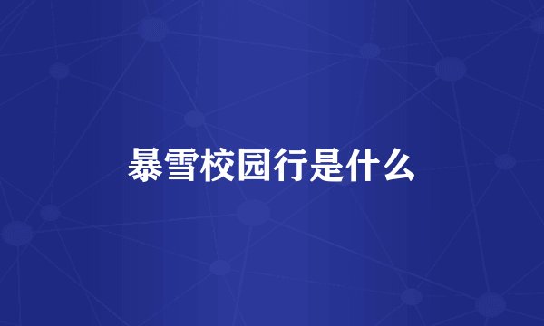 暴雪校园行是什么