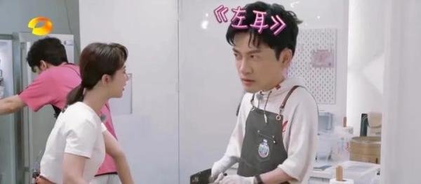 苏有朋的《左耳》刷掉了多少人？杨紫曾经数落他，张云龙记到现在