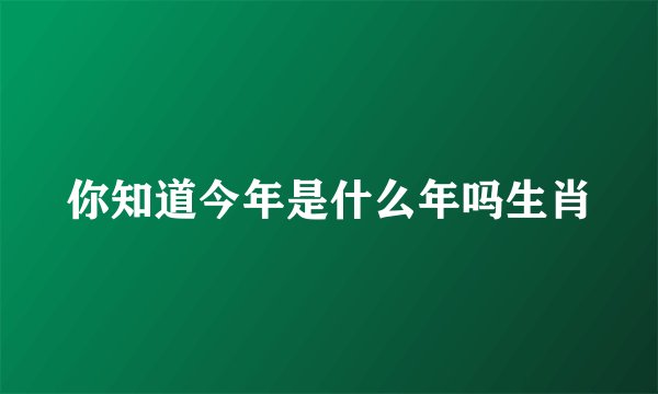 你知道今年是什么年吗生肖