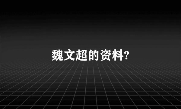 魏文超的资料?