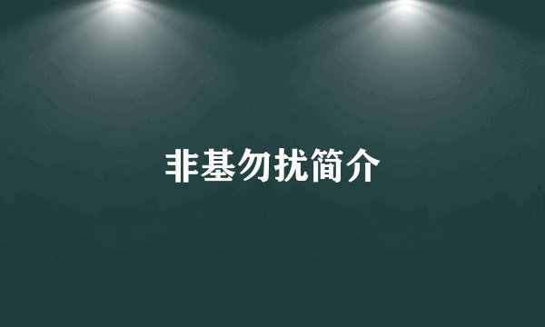 非基勿扰简介