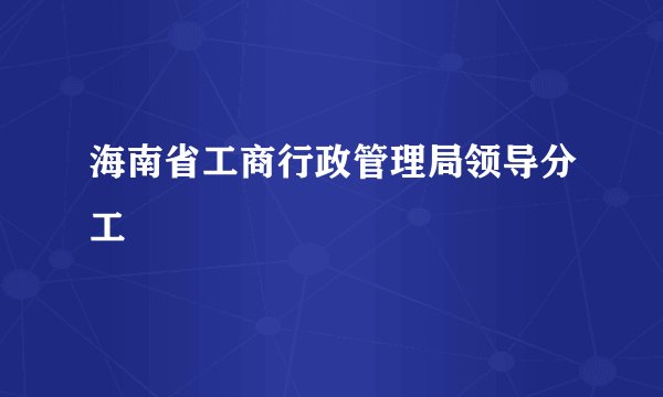 海南省工商行政管理局领导分工