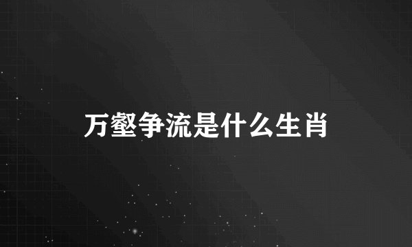 万壑争流是什么生肖