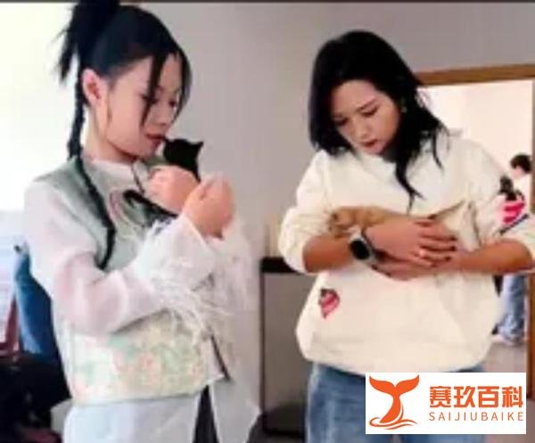 何洁自曝遭浪姐多次拒绝：舞台之光，“何以黯淡”？