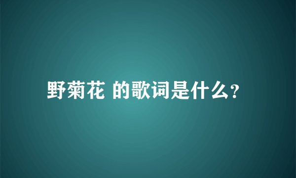 野菊花 的歌词是什么？