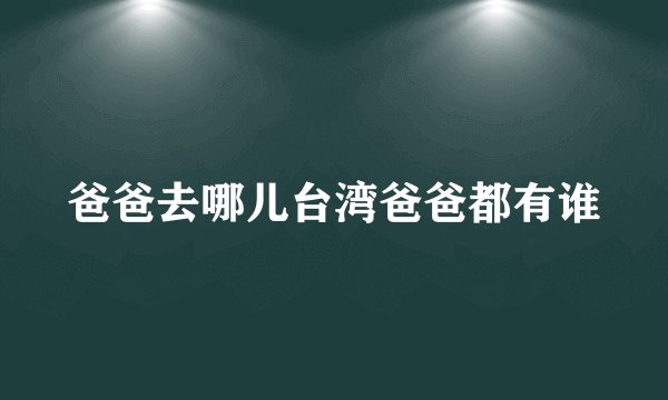 爸爸去哪儿台湾爸爸都有谁