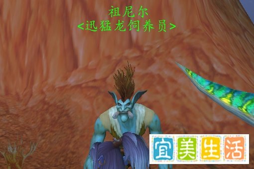WOW巨魔在哪学骑术坐骑在哪买？