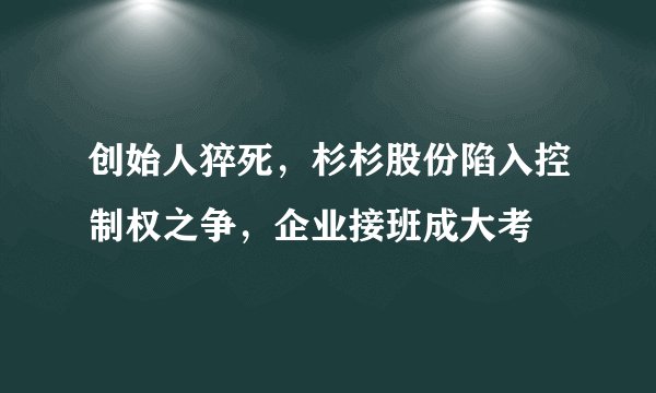 创始人猝死，杉杉股份陷入控制权之争，企业接班成大考