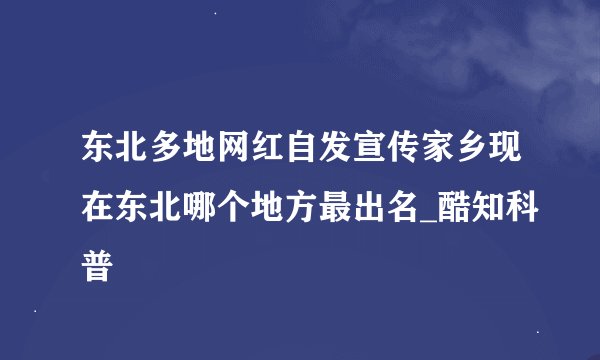东北多地网红自发宣传家乡现在东北哪个地方最出名_酷知科普