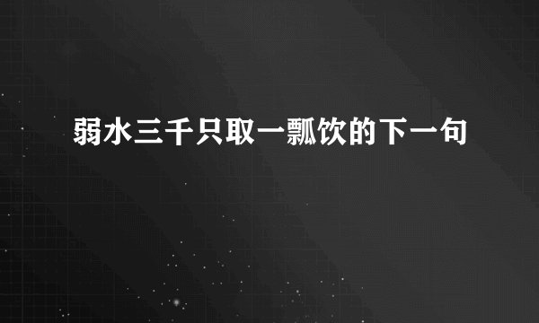 弱水三千只取一瓢饮的下一句