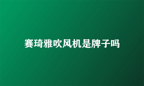赛琦雅吹风机是牌子吗