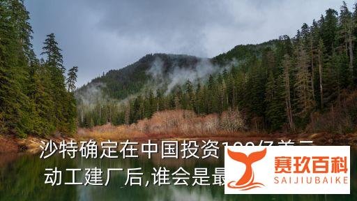 中国和沙特贸易大单,中国与沙特贸易
