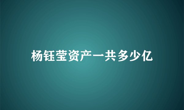 杨钰莹资产一共多少亿