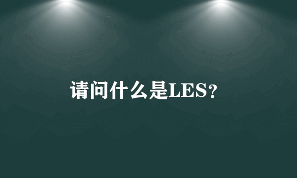 请问什么是LES？