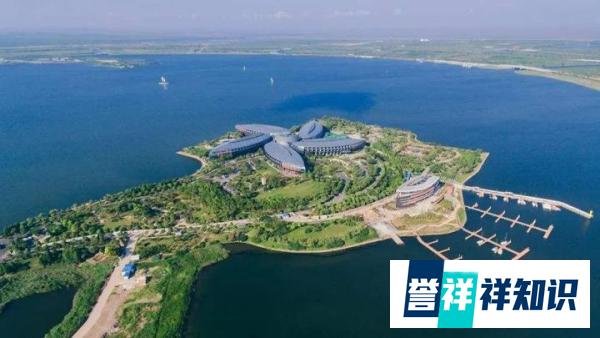 杨超越究竟凭什么能落户上海？