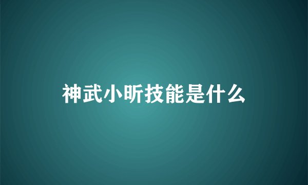 神武小昕技能是什么