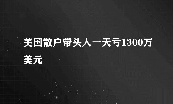 美国散户带头人一天亏1300万美元