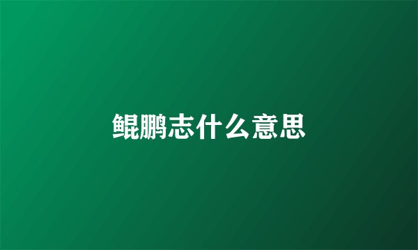 鲲鹏志什么意思