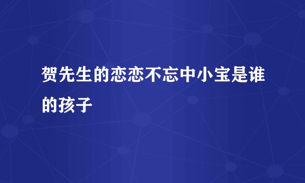 贺先生的恋恋不忘中小宝是谁的孩子