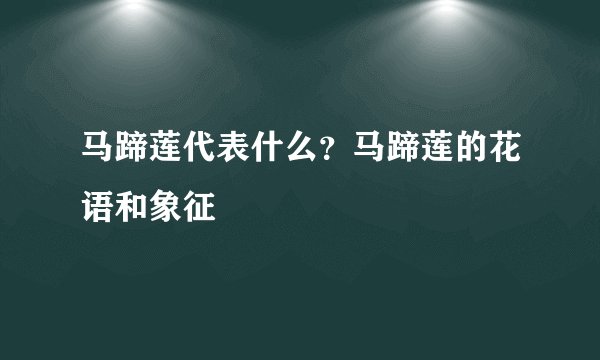 马蹄莲代表什么？马蹄莲的花语和象征