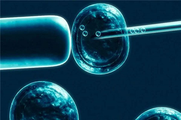日本科学家进行的“人兽杂交胚胎”实验,究竟是何目的?