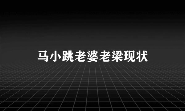 马小跳老婆老梁现状