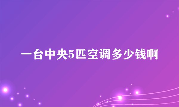 一台中央5匹空调多少钱啊