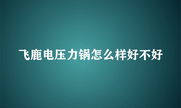 飞鹿电压力锅怎么样好不好