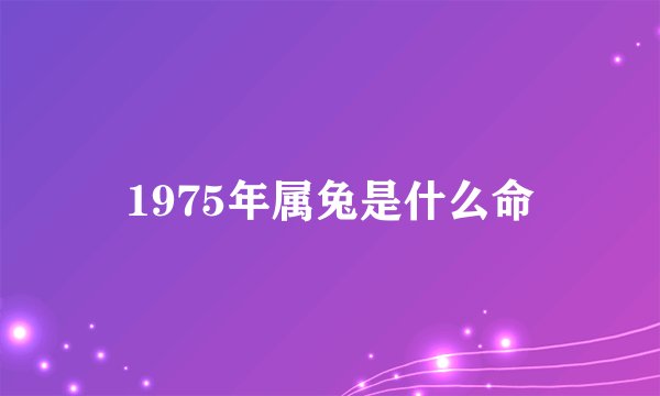 1975年属兔是什么命