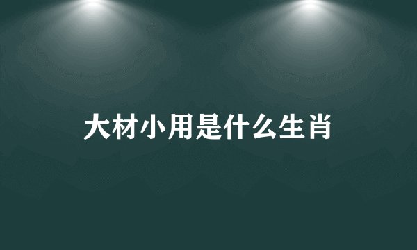 大材小用是什么生肖