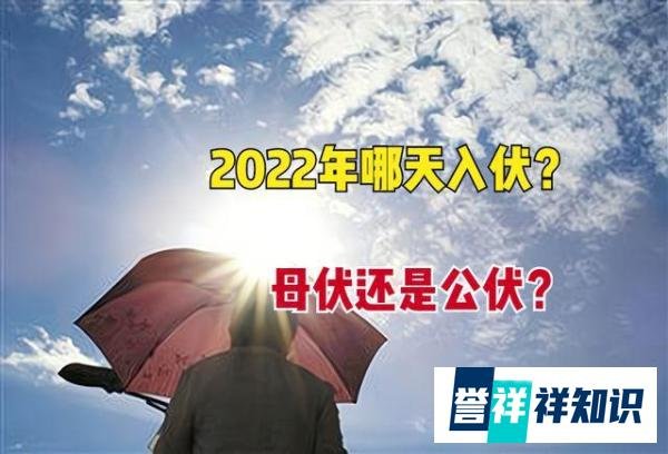 2022年哪天入伏？俗语“公伏凶，母伏爽”，今年是公伏还是母伏？