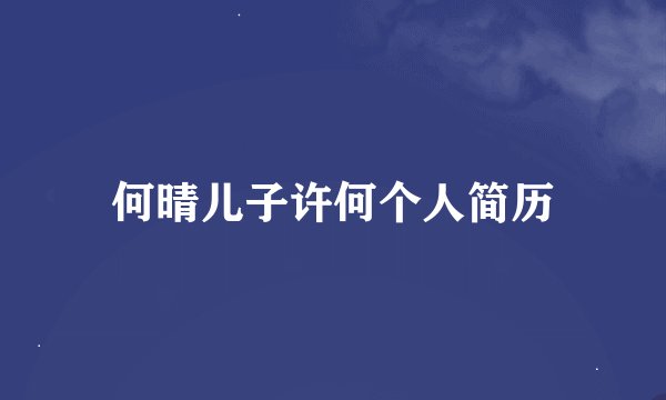 何晴儿子许何个人简历