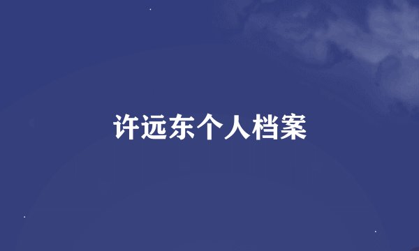 许远东个人档案