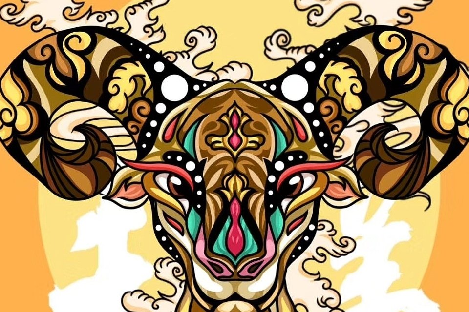 数黑论黄是什么生肖