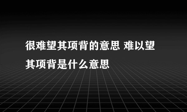 很难望其项背的意思 难以望其项背是什么意思