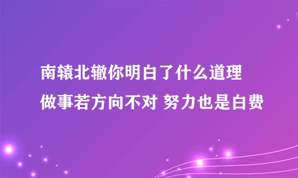 南辕北辙你明白了什么道理 做事若方向不对 努力也是白费