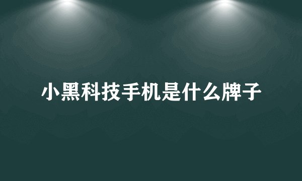 小黑科技手机是什么牌子
