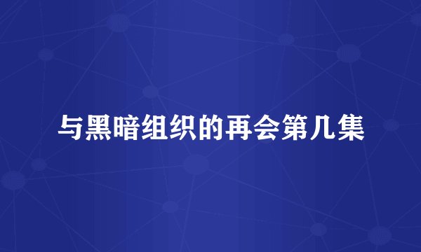 与黑暗组织的再会第几集