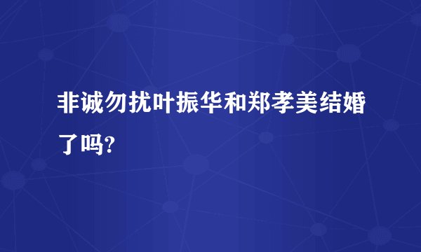 非诚勿扰叶振华和郑孝美结婚了吗?