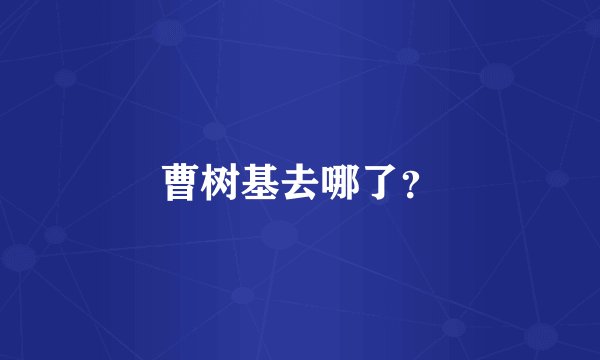 曹树基去哪了？