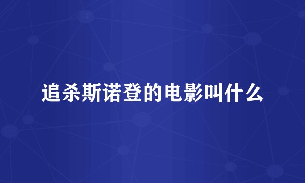 追杀斯诺登的电影叫什么