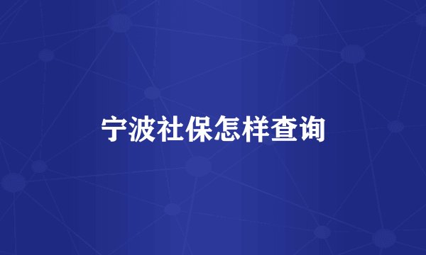 宁波社保怎样查询