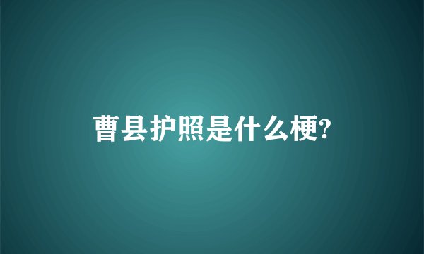 曹县护照是什么梗?
