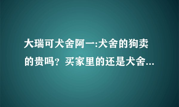 大瑞可犬舍阿一:犬舍的狗卖的贵吗？买家里的还是犬舍饲养的？